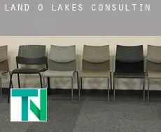 Land O' Lakes  consulting