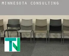Minnesota  consulting