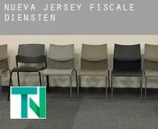 New Jersey  fiscale diensten