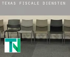 Texas  fiscale diensten