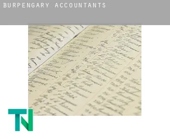 Burpengary  accountants