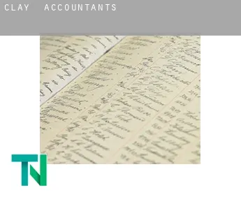 Clay  accountants