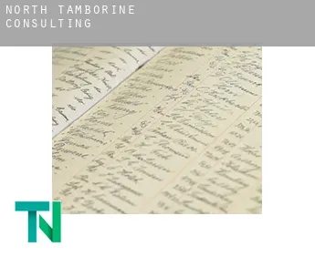 North Tamborine  consulting