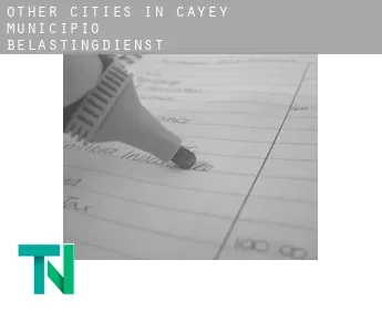 Other cities in Cayey Municipio  belastingdienst