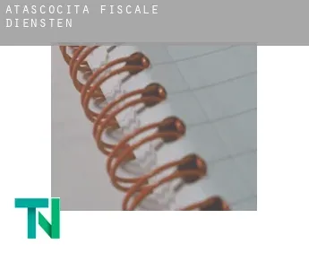 Atascocita  fiscale diensten