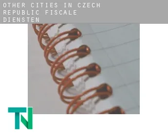 Other cities in Czech Republic  fiscale diensten