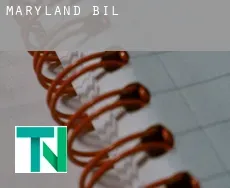 Maryland  bill