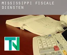 Mississippi  fiscale diensten