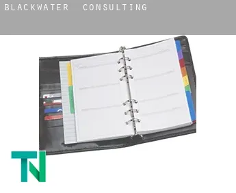 Blackwater  consulting