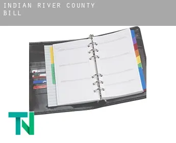Indian River County  bill