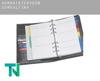 Surhuisterveen  consulting