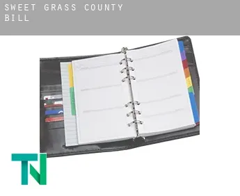Sweet Grass County  bill