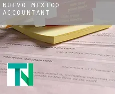 New Mexico  accountants