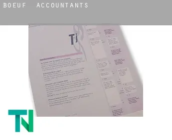 Boeuf  accountants