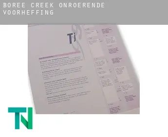 Boree Creek  onroerende voorheffing