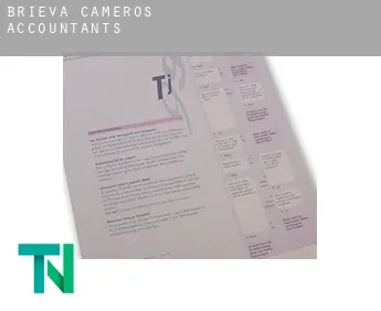 Brieva de Cameros  accountants