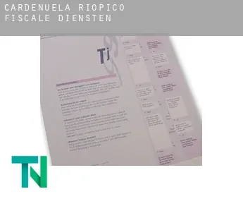 Cardeñuela Riopico  fiscale diensten