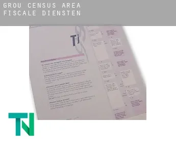 Grou (census area)  fiscale diensten