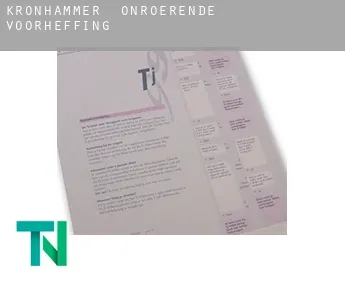 Kronhammer  onroerende voorheffing