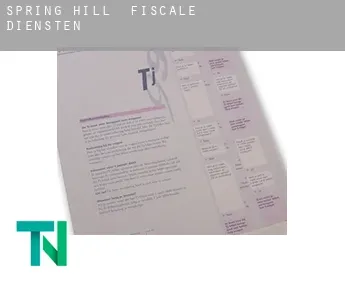 Spring Hill  fiscale diensten