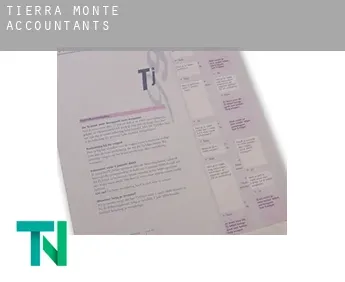 Tierra Monte  accountants
