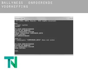 Ballyness  onroerende voorheffing