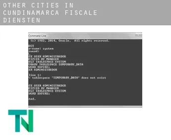 Other cities in Cundinamarca  fiscale diensten