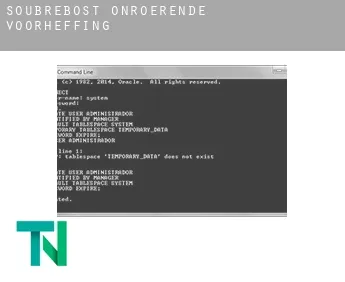 Soubrebost  onroerende voorheffing