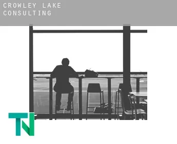 Crowley Lake  consulting