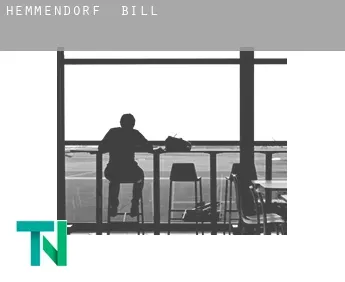 Hemmendorf  bill