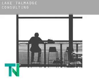 Lake Talmadge  consulting