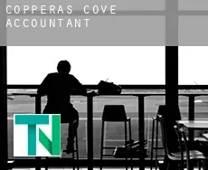 Copperas Cove  accountants
