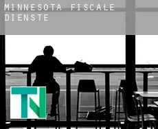 Minnesota  fiscale diensten