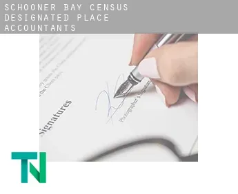 Schooner Bay  accountants