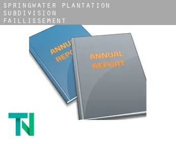 Springwater Plantation Subdivision  faillissement