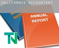 Californië  accountants