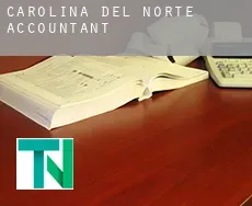 North Carolina  accountants